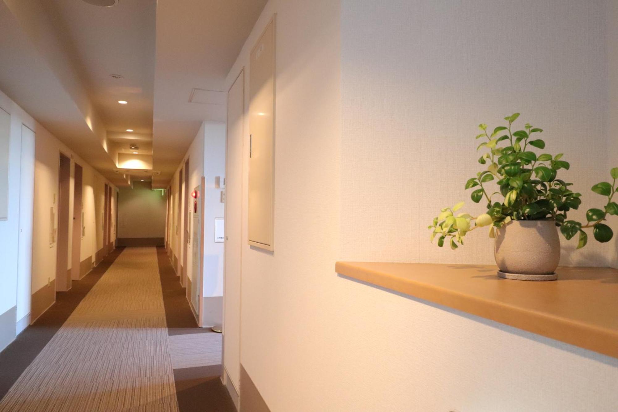 Silk Hotel Annex Iida Εξωτερικό φωτογραφία